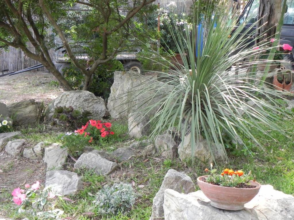 Camping Lacona Capoliveri  Exterior foto