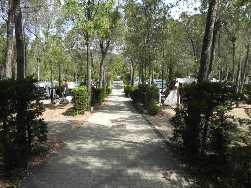 Camping Lacona Capoliveri  Exterior foto